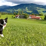 Biobauernhof Brandlhof * Ramsau am Dachstein