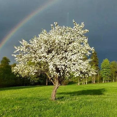 Biobauernhof Brandlhof Appartement Ramsau am Dachstein