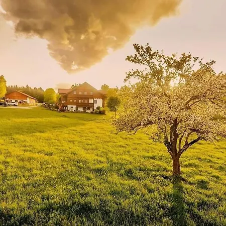Appartement Biobauernhof Brandlhof Ramsau am Dachstein