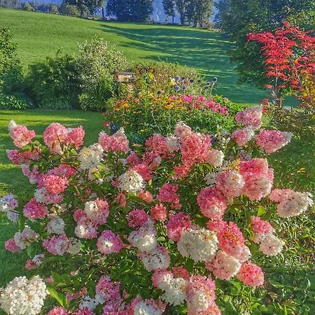 Biobauernhof Brandlhof *