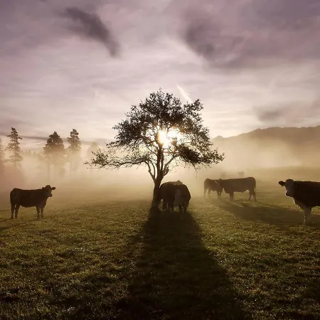 Biobauernhof Brandlhof