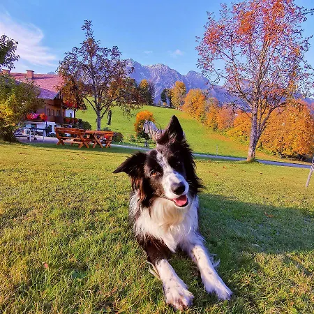 Appartement Biobauernhof Brandlhof