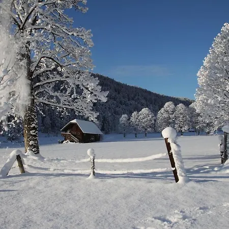 Biobauernhof Brandlhof Appartement