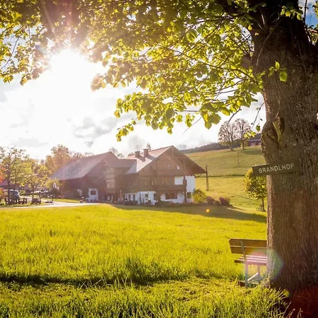 Appartement Biobauernhof Brandlhof *