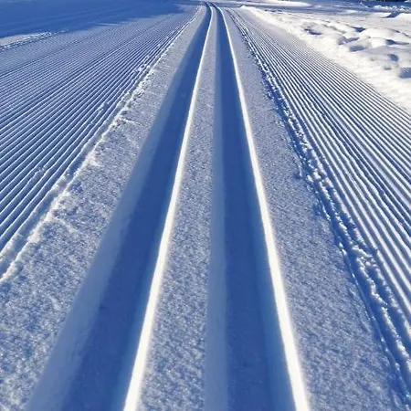 Lejlighed Biobauernhof Brandlhof Ramsau am Dachstein
