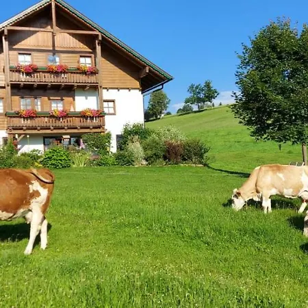 Lejlighed Biobauernhof Brandlhof *