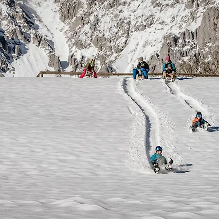 Biobauernhof Brandlhof Appartement Ramsau am Dachstein