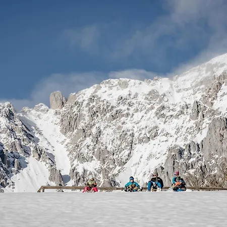 Biobauernhof Brandlhof *