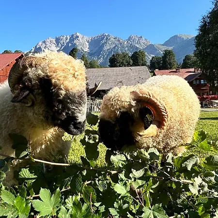 Biobauernhof Brandlhof Apartament Ramsau am Dachstein