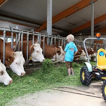 Appartement Biobauernhof Brandlhof