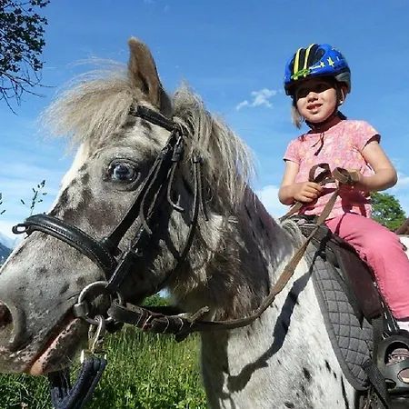 Appartement Biobauernhof Brandlhof Ramsau am Dachstein
