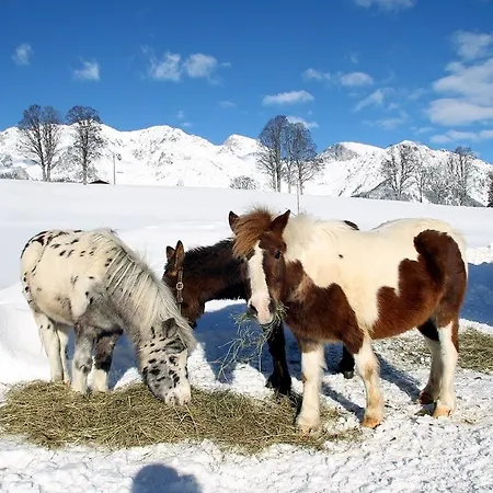 Lejlighed Biobauernhof Brandlhof Ramsau am Dachstein