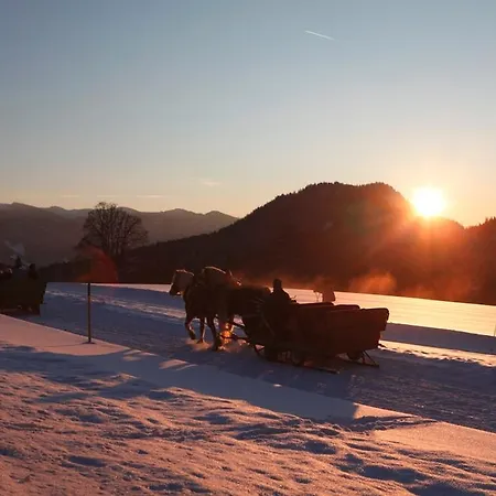 Appartement Biobauernhof Brandlhof
