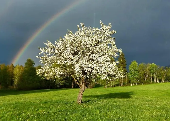 Biobauernhof Brandlhof Апартаменты Рамзау