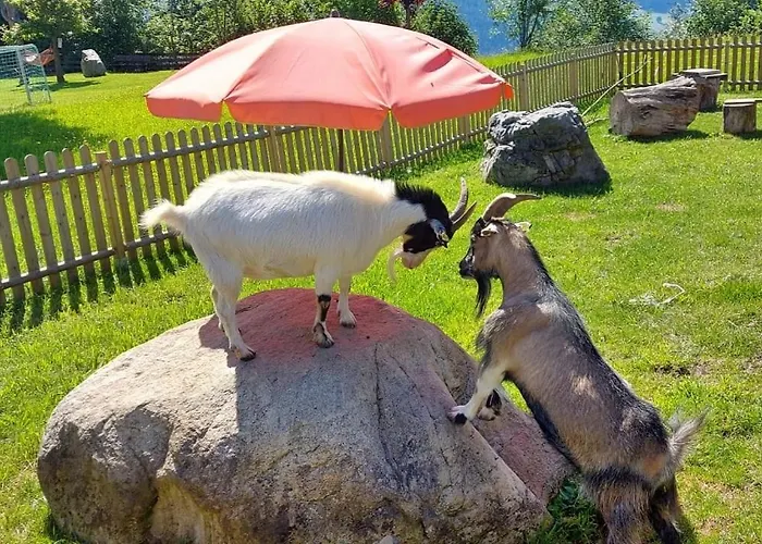 Biobauernhof Brandlhof Apartment Ramsau am Dachstein