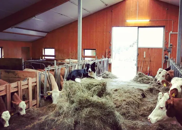 Biobauernhof Brandlhof * Рамзау