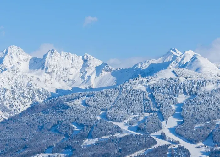 Biobauernhof Brandlhof *