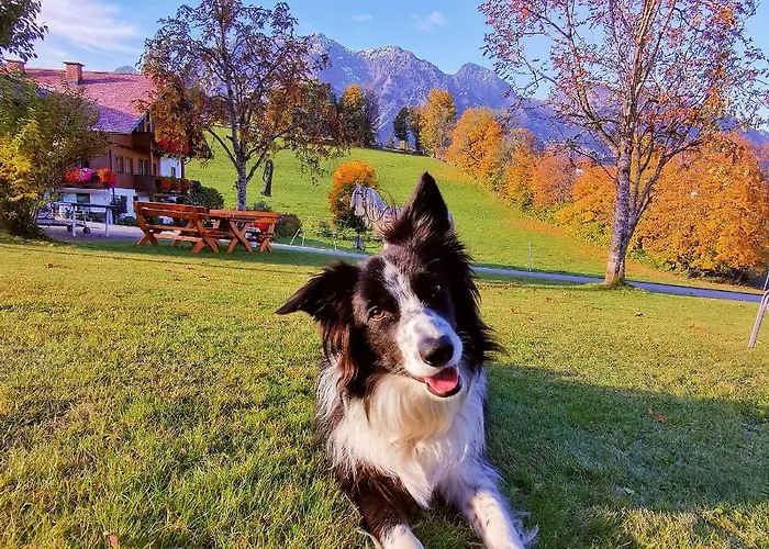 Apartment Biobauernhof Brandlhof