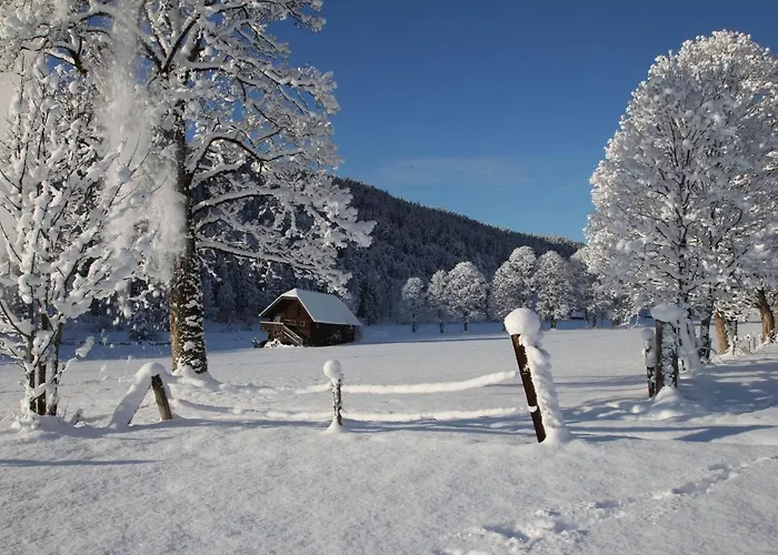 Biobauernhof Brandlhof Апартаменты