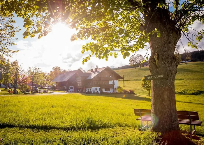 Апартаменты Biobauernhof Brandlhof *