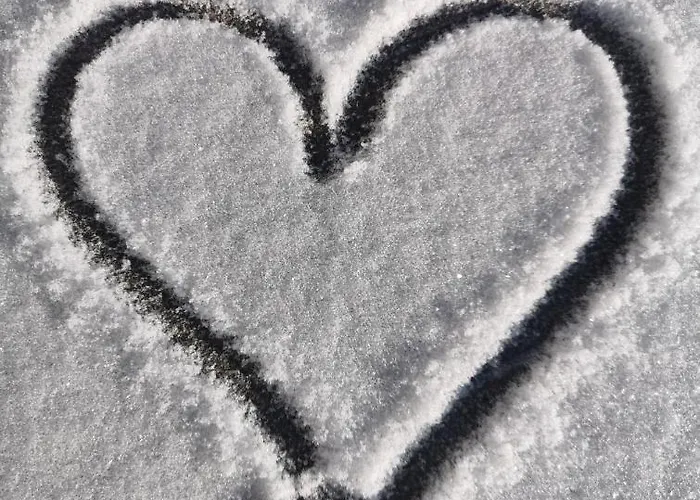 Biobauernhof Brandlhof *