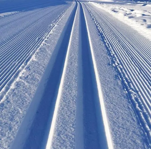 Daire Biobauernhof Brandlhof Ramsau am Dachstein