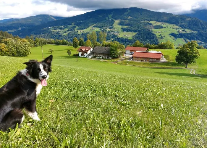 Biobauernhof Brandlhof * Рамзау