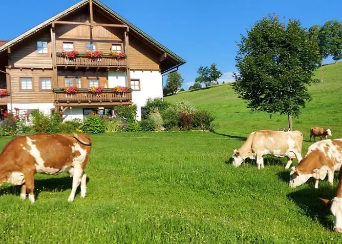 Daire Biobauernhof Brandlhof *