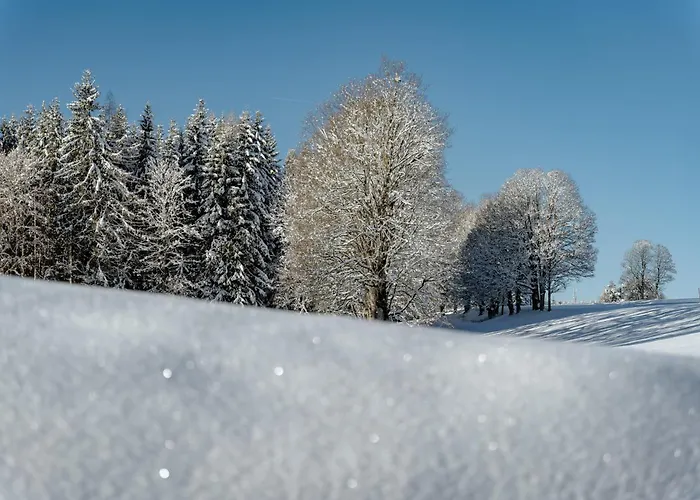 Biobauernhof Brandlhof