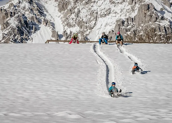 Biobauernhof Brandlhof Apartment Ramsau am Dachstein