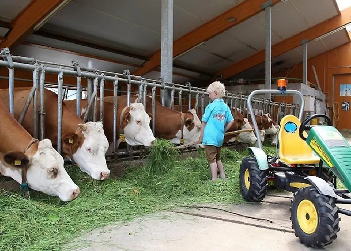 Апартаменты Biobauernhof Brandlhof