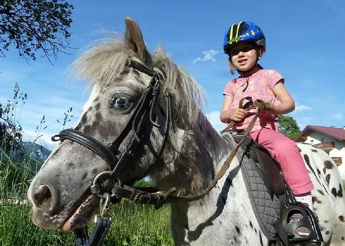 Апартаменты Biobauernhof Brandlhof Рамзау