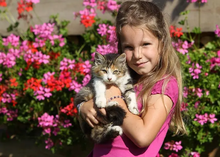 Biobauernhof Brandlhof Рамзау