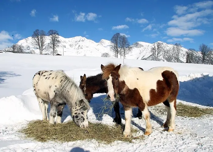 Апартаменты Biobauernhof Brandlhof Рамзау
