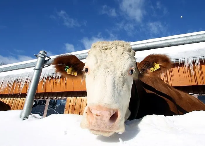 Apartment Biobauernhof Brandlhof *