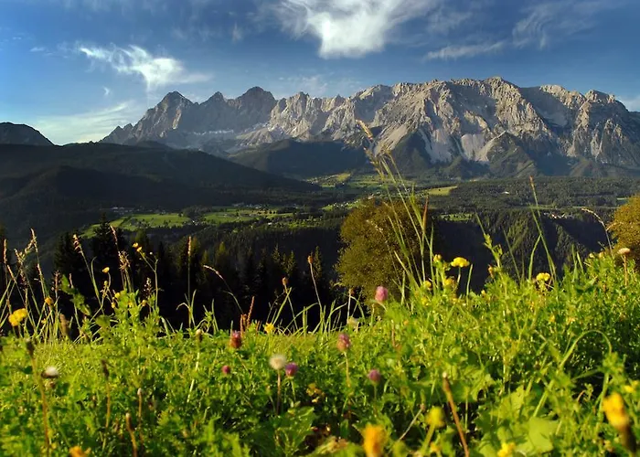 Апартаменты Biobauernhof Brandlhof *