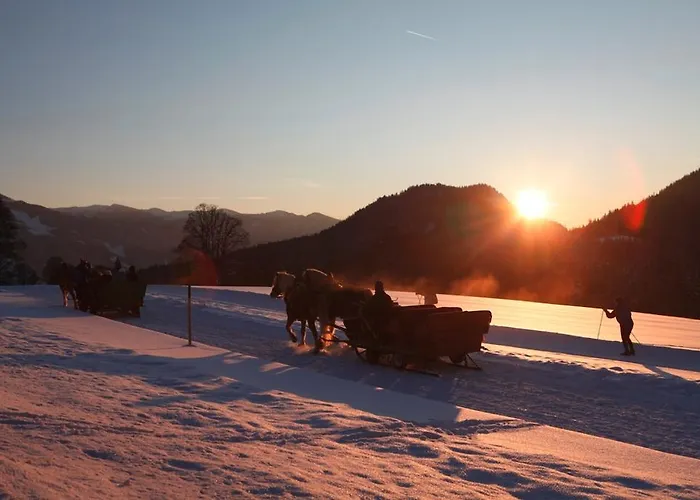 Apartment Biobauernhof Brandlhof
